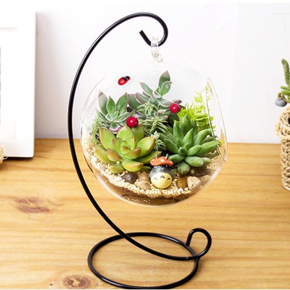 Large Clear Glass Terrarium Vase Hanging for Air Plants with Black Metal Stand Decorative Indoor Outdoor Easy to Hang Rustic Farmhouse Home Office Decor