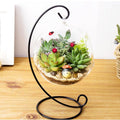 Large Clear Glass Terrarium Vase Hanging for Air Plants with Black Metal Stand Decorative Indoor Outdoor Easy to Hang Rustic Farmhouse Home Office Decor