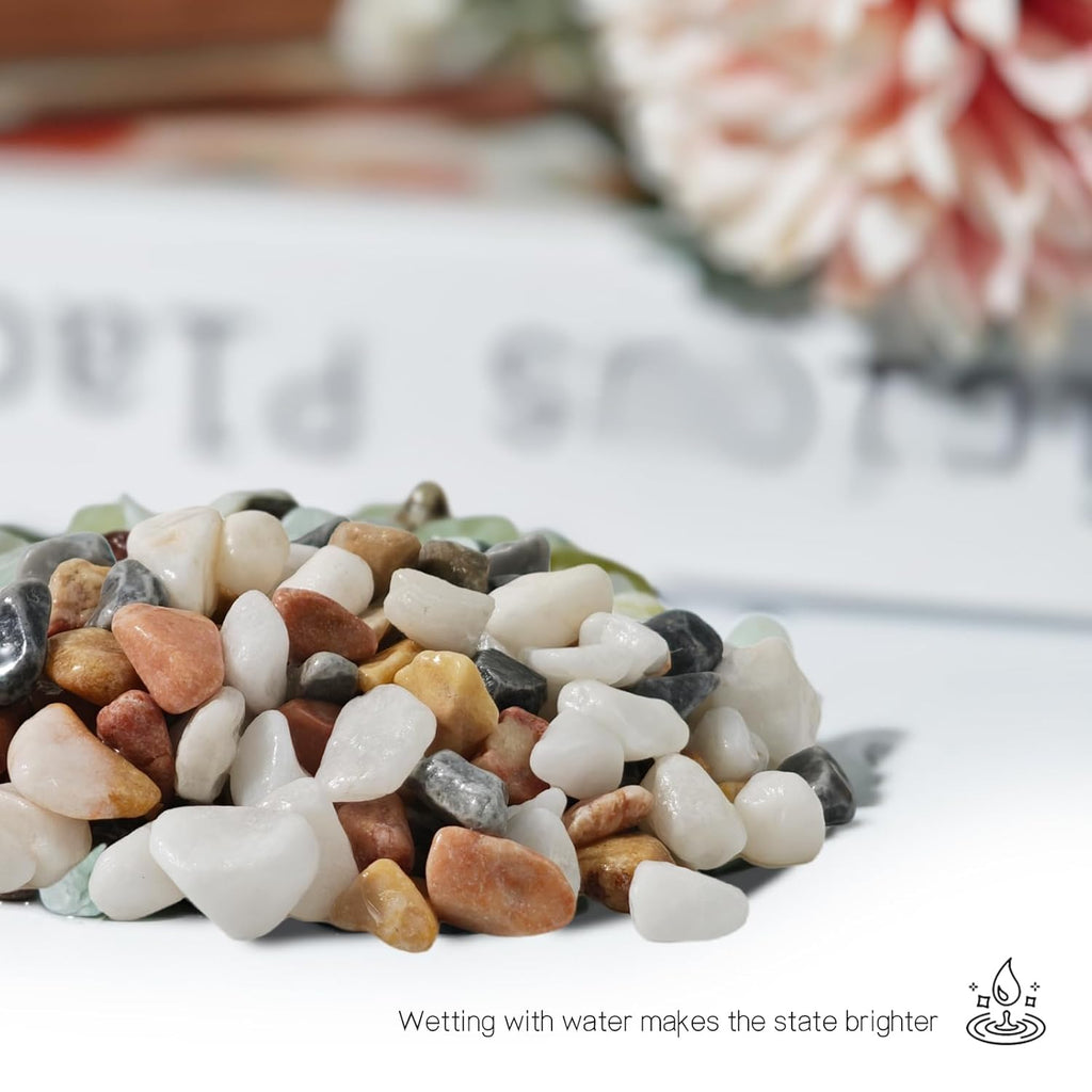 3Lb Pebbles for Indoor Plants,River Rocks for Succulent Plants,Aquarium Gravel,Decorative Stones Bonsai Garden Pebbles,Aquarium Rocks for Landscaping,Plants,Vase Fillers (Grey & White)