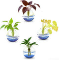 4 pcs Glass Wall Hanging Planter, Oval Terrarium Vase, Propagation Station for Hydroponics, Indoor Plants, Home Office Decor (Large)