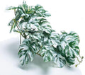 Reptile Fake Plants for Terrarium Artificial Tank Decor Accessories Suitable for Bearded Dragon Ball Python Crested Leopard Gecko Lizard Chameleon Snake-Monstera