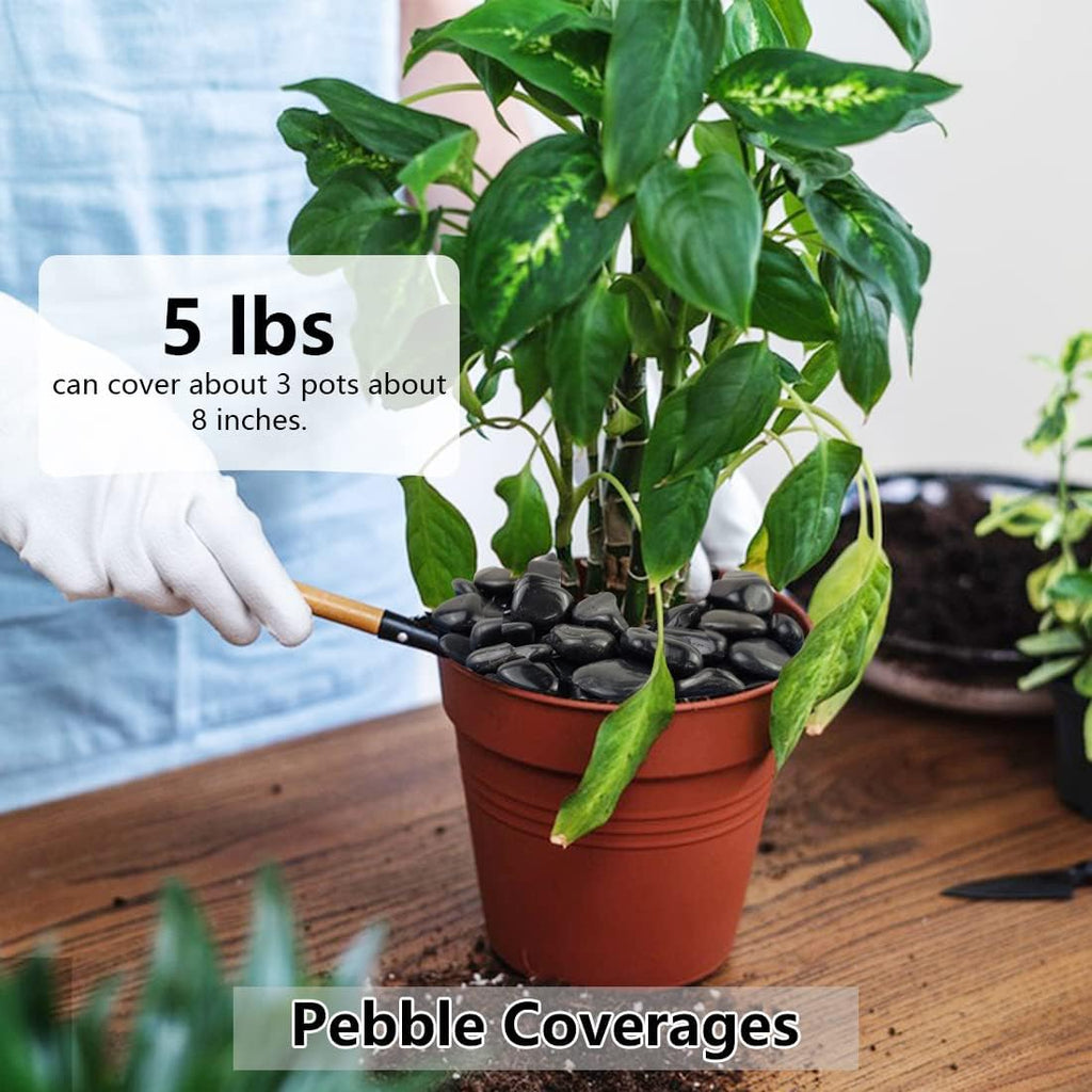 Black Pebbles for Indoor Plants, Natural Polished River Rocks, Small Decorative Stones for Planters Vase Fish Tank Aquariums Landscaping Garden, 2lbs