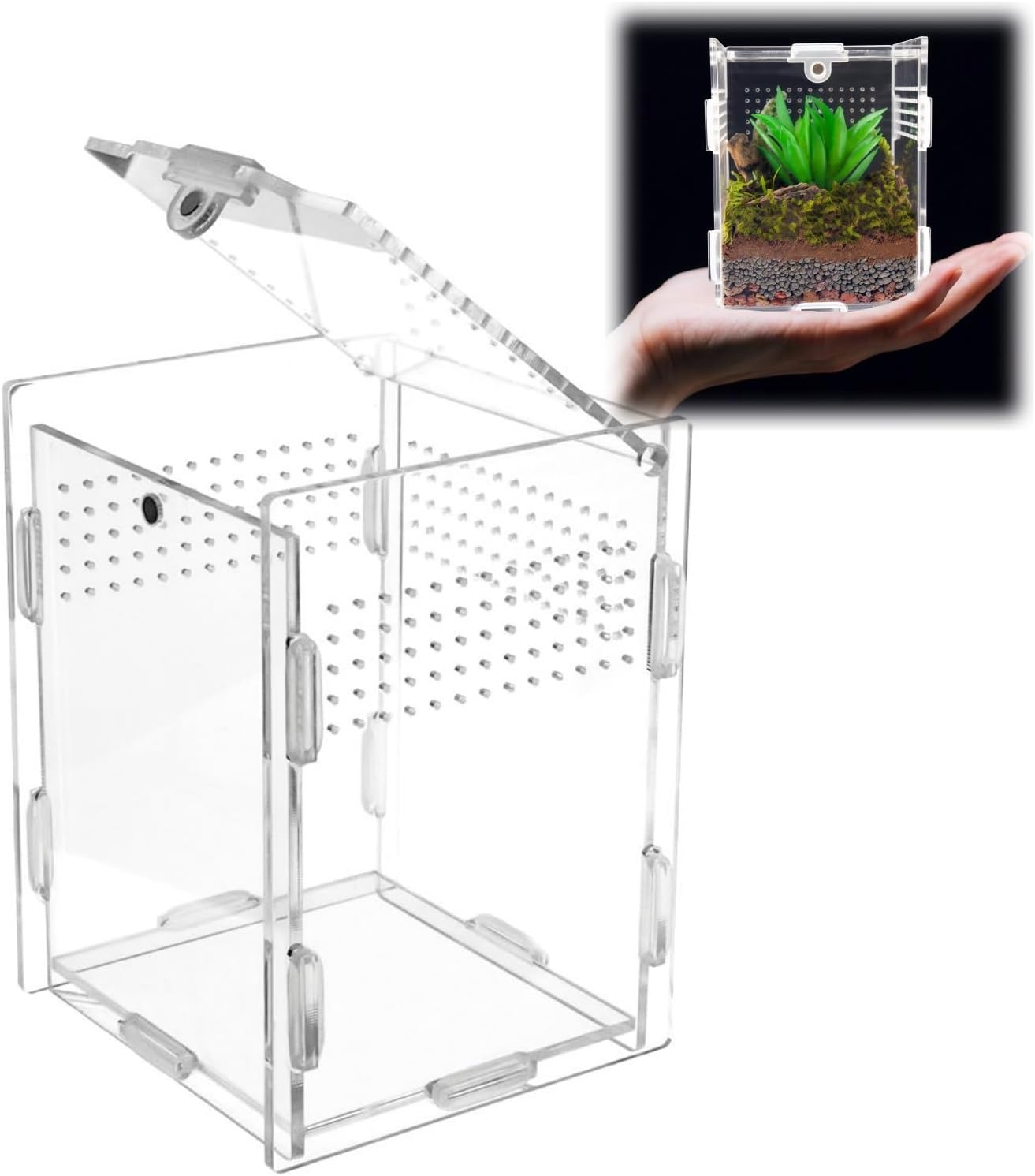 Hermit Crab Tank Jumping Spider Enclosure Acrylic Terrarium Habitat High Clarity Escape-Proof Small Terrarium for Hermit Crab Jumping Spiders Frogs and Small Reptiles Ideal for Reptile Keepers