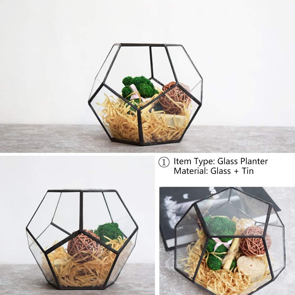 Black Geometric Glass Terrarium Planter Pentagon Flower Pot Glass Terrarium Container for Succulents Fern Air Plants Mini Tabletop Decor Centerpiece