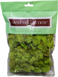 Preserved Reindeer Moss - Moss for Crafts, Home Decor, Art, Design & DIY Projects - Non-Toxic - USA Made (Chartreuse, Small)