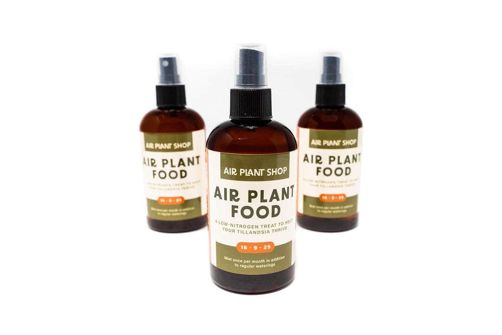 Air Plants Fertilizer in fine Mist Spray Bottle – Plant Food for Tillandsia - Monthly use for Growth of House Plants (12 Pack - 8 OZ)