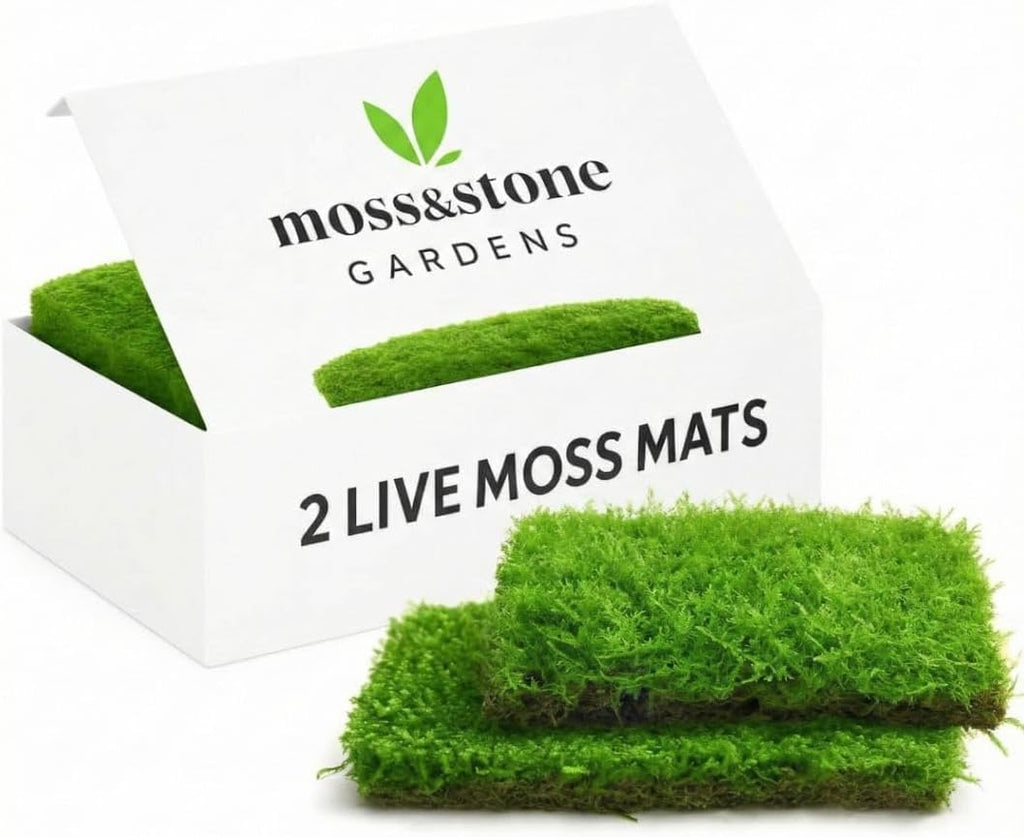 Live Moss Mat Terrarium Pack (2-Species Variety Pack) | Hypnum & Brachythecium | Each Mat is 3.5"x7" | Living Moss Sheets for Terrariums, Vivariums & Bonsai
