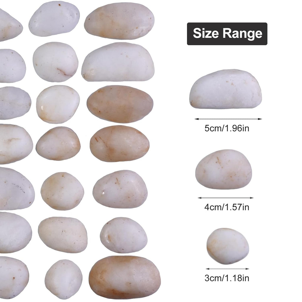 10Ib Cream White River Rock- Decorative Pebbles for Plants - River Rocks for Outdoor Landscaping- 0.3"-0.8" inch High Polished Stones for Aquarium, Terrarium,Vases, Home Decor