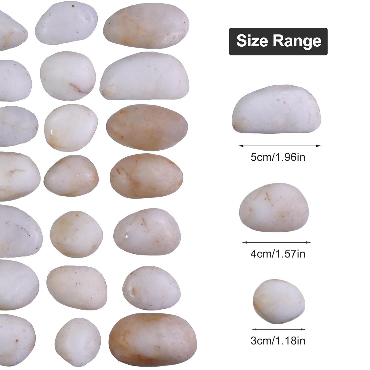 10Ib Cream White River Rock- Decorative Pebbles for Plants - River Rocks for Outdoor Landscaping- 0.3"-0.8" inch High Polished Stones for Aquarium, Terrarium,Vases, Home Decor