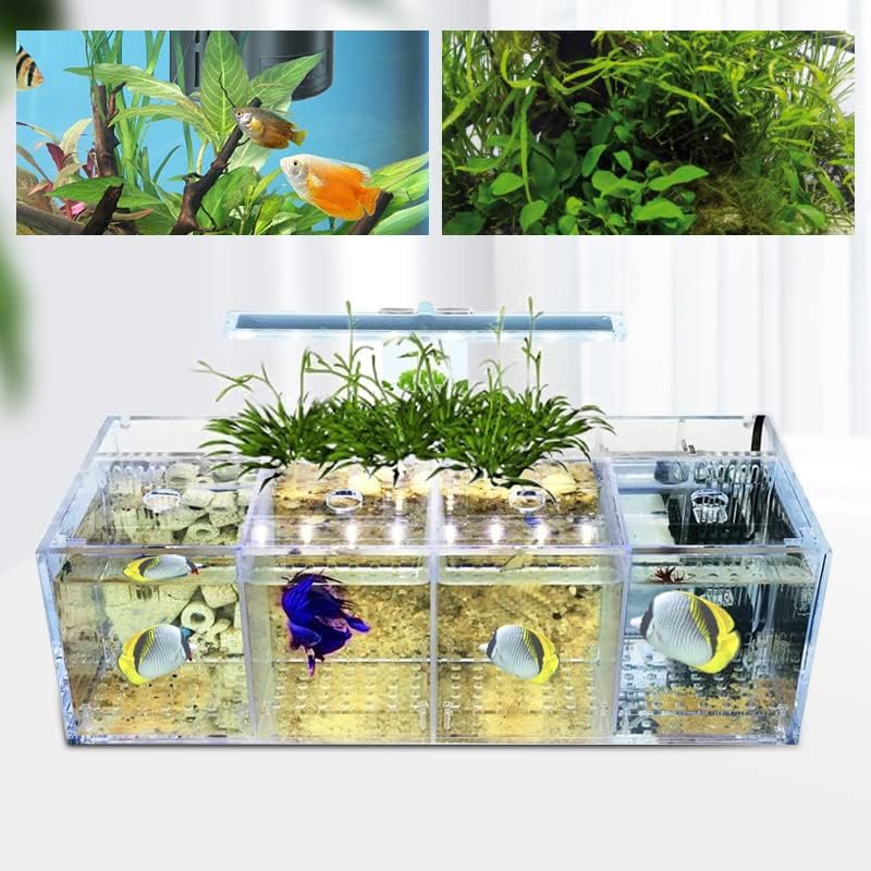 Acrylic Aquarium 4 Compartment Betta Fish Tank with LED Lights Pump Container Rectangular Fishes Tank Suitable for a Wide Variety of Tropical Fish, Clear and Transparent