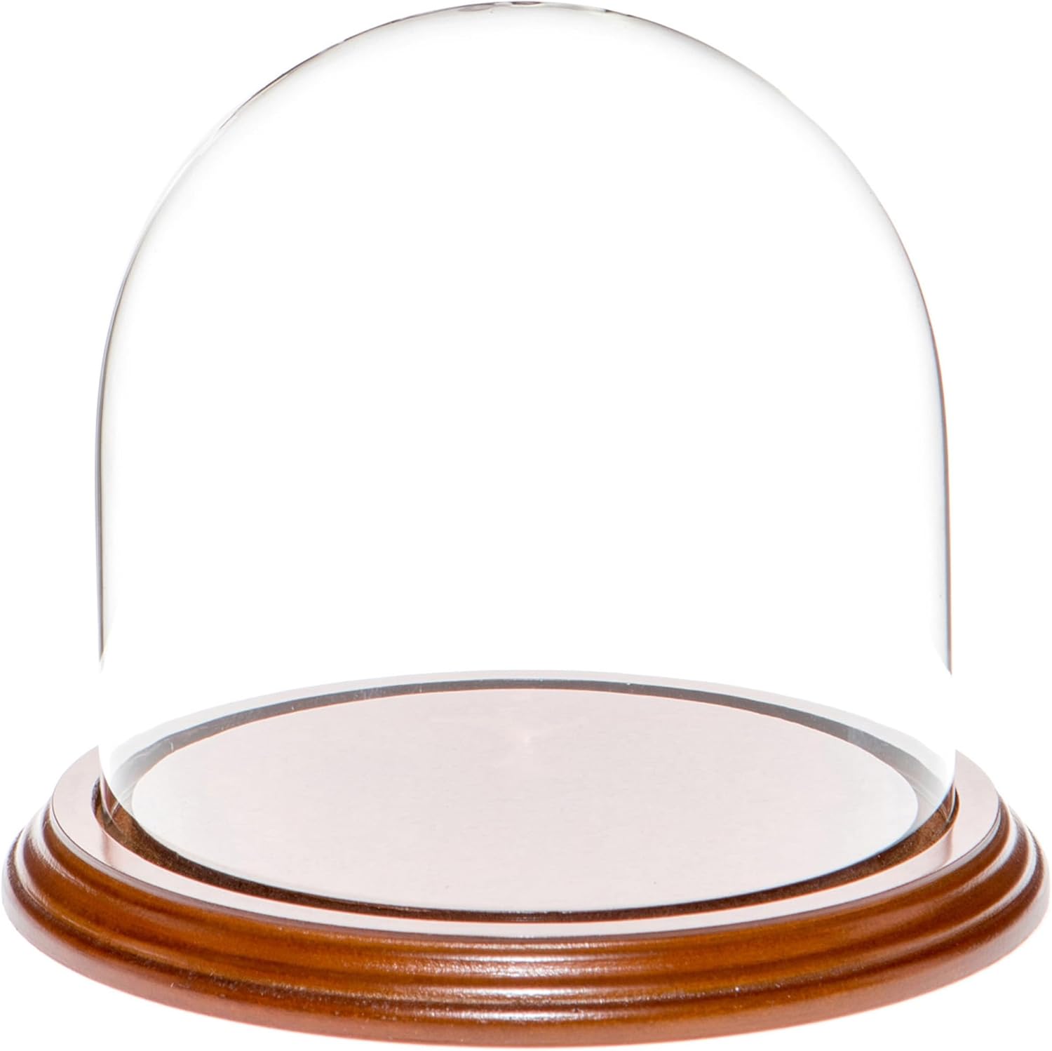 Plymor 5.5" x 5.5" Glass Display Dome Cloche (Walnut Veneer Base)