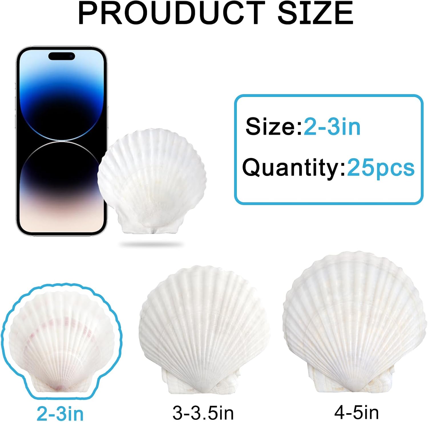 SINKOO 25 PCS Small Scallop Shells 2"-3" White Natural Seashell for DIY Craft Mermaid Beach Wedding Home Decoration
