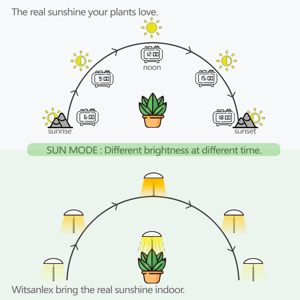 LED Grow Lights for Indoor Plants, Smart USB Small Full Spectrum Plant Lights with Remote, Height Adjustable, Auto On/Off Timer, Ideal for Home Decoration, Black