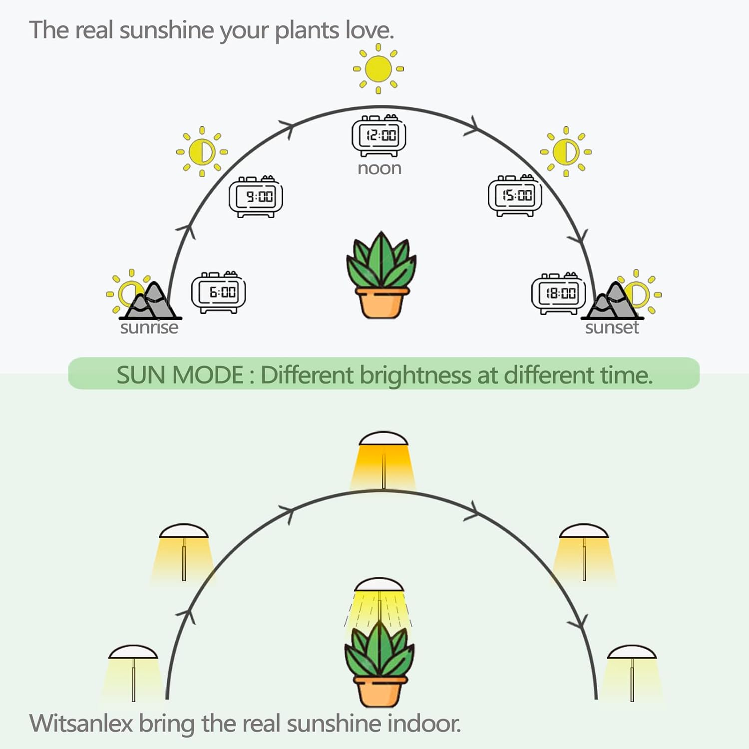 LED Grow Lights for Indoor Plants, Smart USB Small Full Spectrum Plant Lights with Remote, Height Adjustable, Auto On/Off Timer, Ideal for Home Decoration, Black
