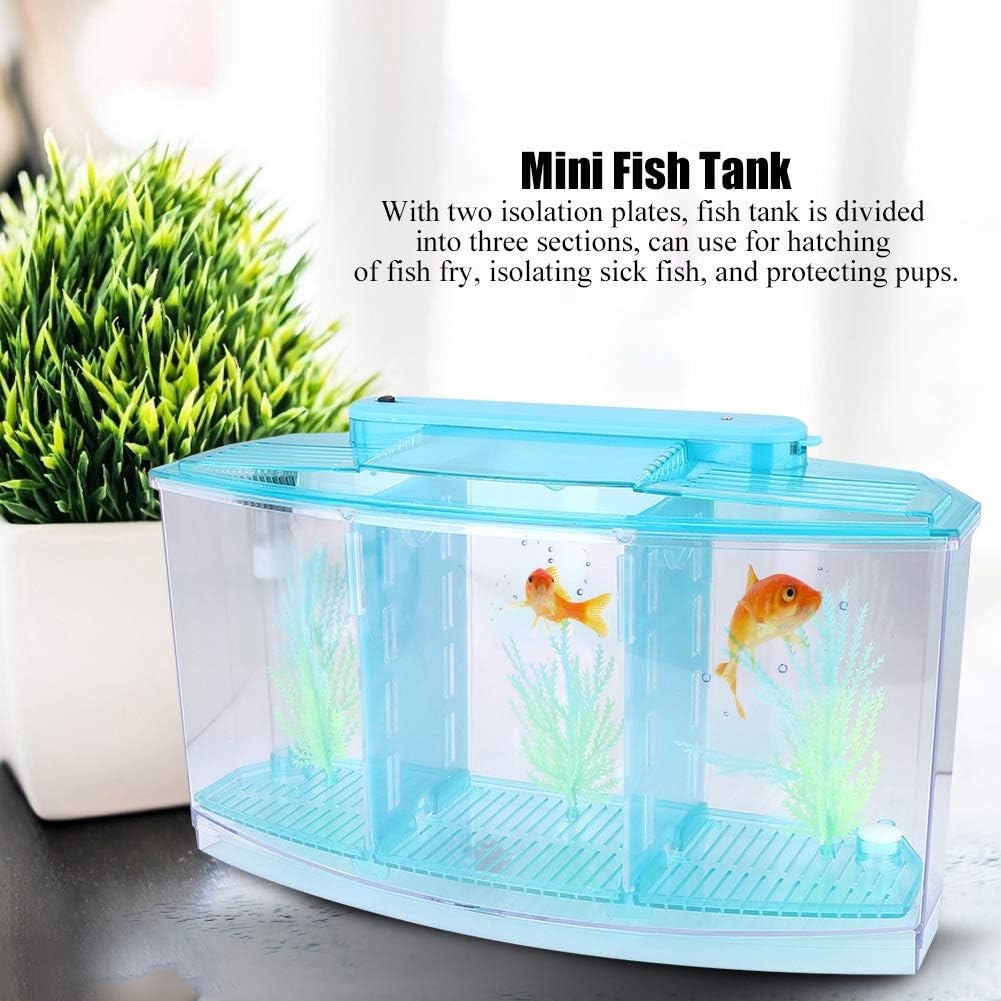 Small Fish Isolation Fish Tank, LED Acrylic Aquarium Fish Tank, Transparent Fish Isolation Box with 2 Isolation Plates for Small Fishes Betta Shrimp Guppy (Blue)