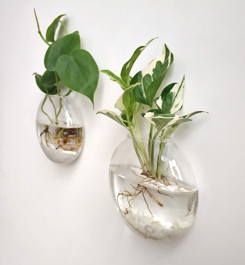Mkono Wall Hanging Planter Propagation Station Glass Flower Vase for Hydroponics Plants, Bathroom, Home Office Living Room Decor Gift, Oblate Set of 3
