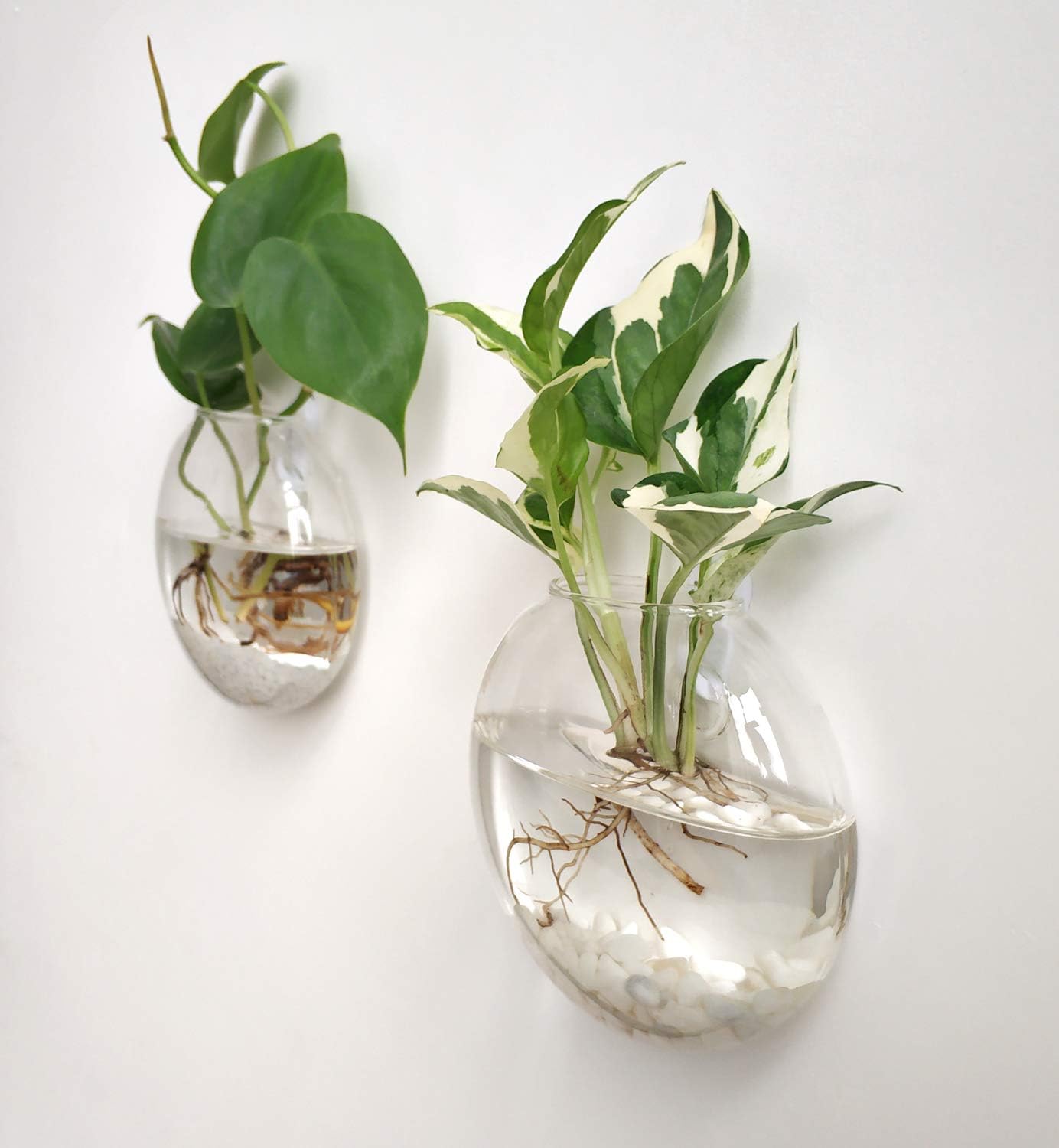 Mkono Wall Hanging Planter Propagation Station Glass Flower Vase for Hydroponics Plants, Bathroom, Home Office Living Room Decor Gift, Oblate Set of 3
