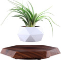 MOOCCI Floating Plant Pot Magnetic Levitating Plant Pot for Succulents, Air Bonsai and Fake Flowers and Plants, Unique Decor for Home, Office and Desk, Father's Day (Brown)