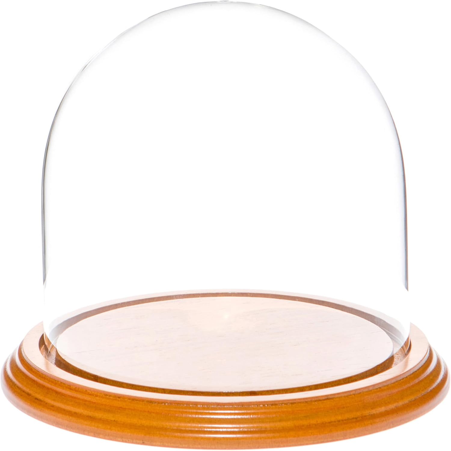 Plymor 5.5" x 5.5" Glass Display Dome Cloche (Oak Veneer Base)