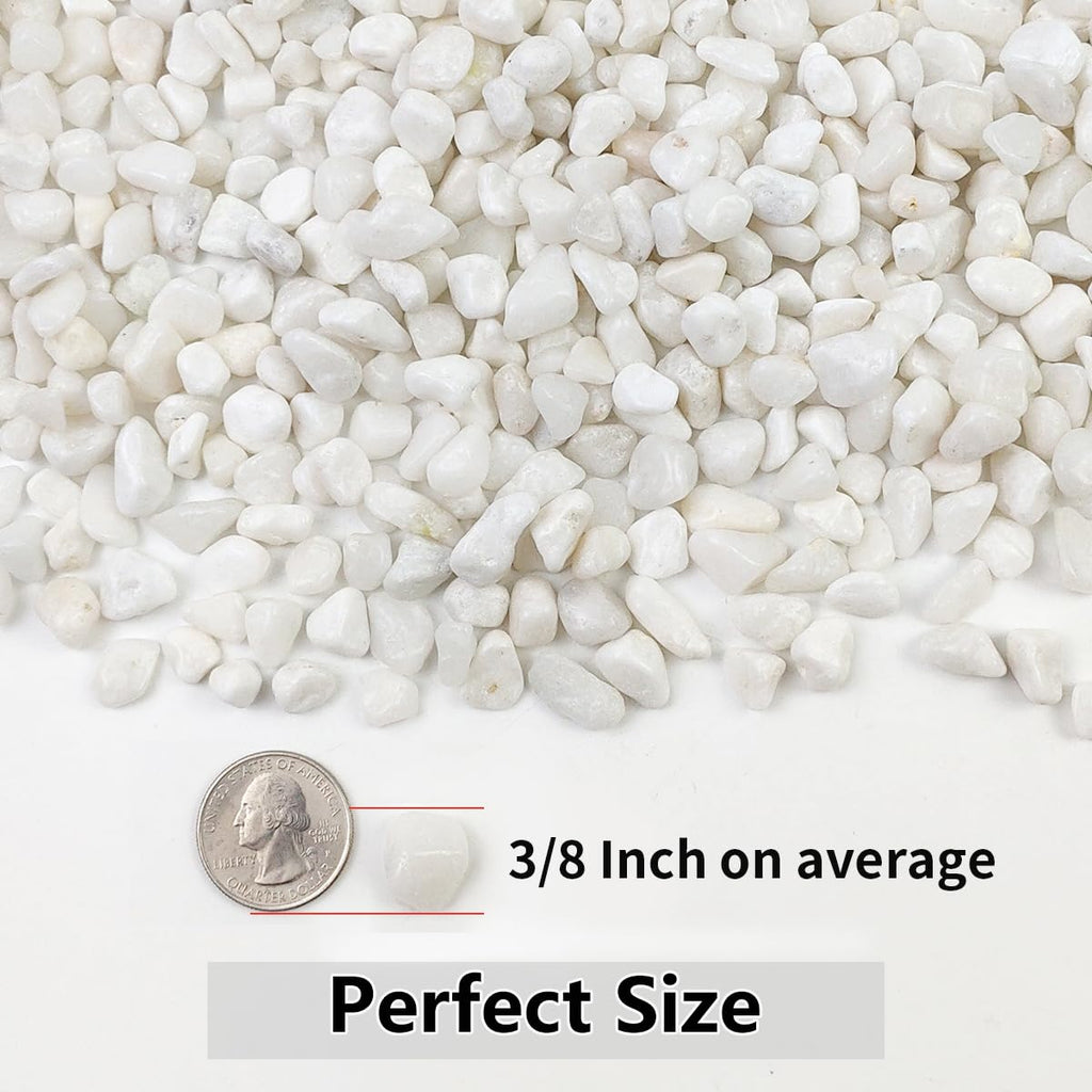 5LB Succulent and Cactus Gravel Pebbles, 3/8 Inch Natural Decorative Polished Stones, River Rocks for Plants, Vases, Aquariums, Terrarium and Outdoor Gardening, White
