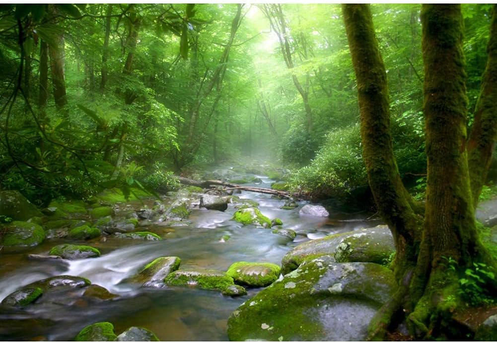 OERJU 9x6ft Peaceful Forest Photography Backdrop for Outdoor Rustic Travel Theme Banner Decoration Stones Stream Trees Rainforest Jungle Plant Background Polyester Fabric Adults Portrait Photo