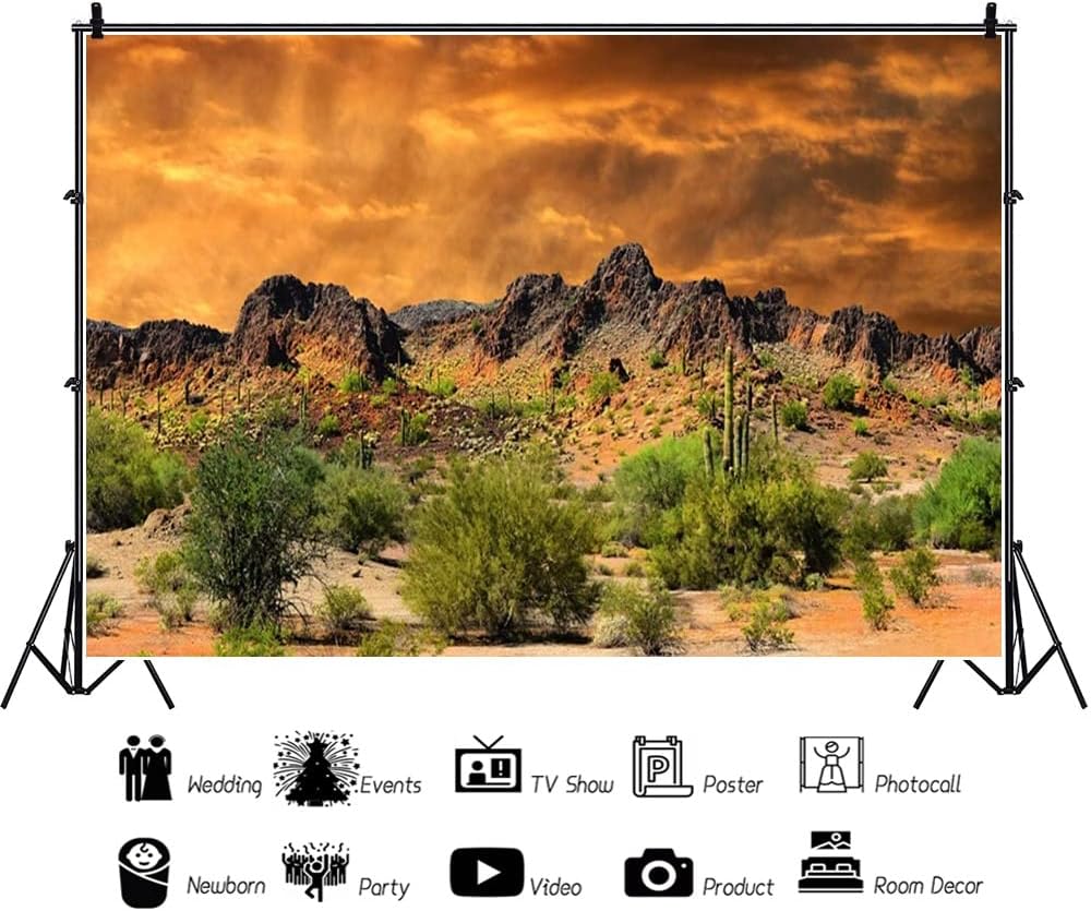 Laeacco Dusk Desolate Desert 10x6.5ft Vinyl Photography Background Sunset Glow Cactuses Weathered Mountains Scenic Backdrop Wedding Shoot Indoor Decors Wallpaper Studio Props color15