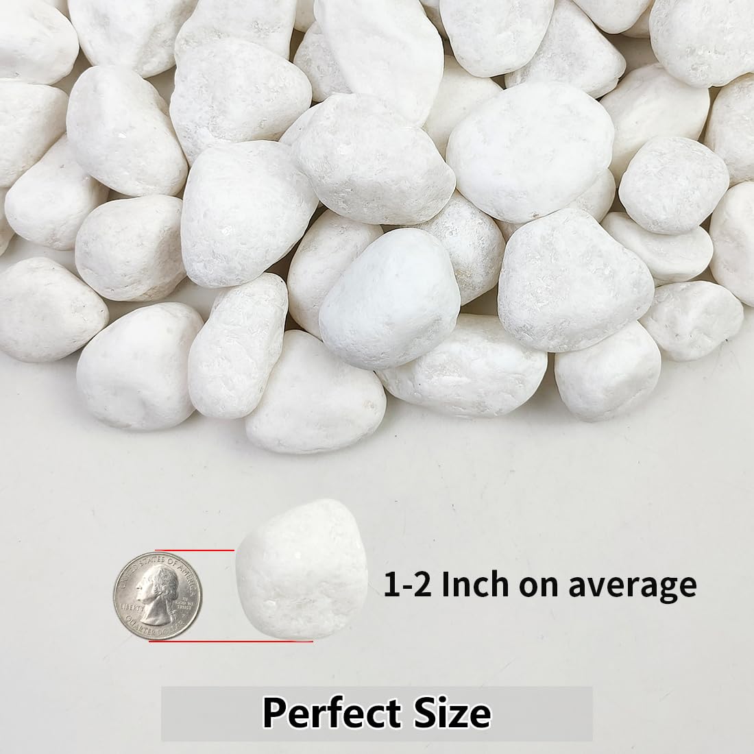 10lb White River Rocks, 1-2 Inch Natural Pebbles for Indoor Plants, Snow White Decorative Stones, Ideal for Fish Tank, Vases, Crafting, Home Decor and Garden Landscaping Rocks