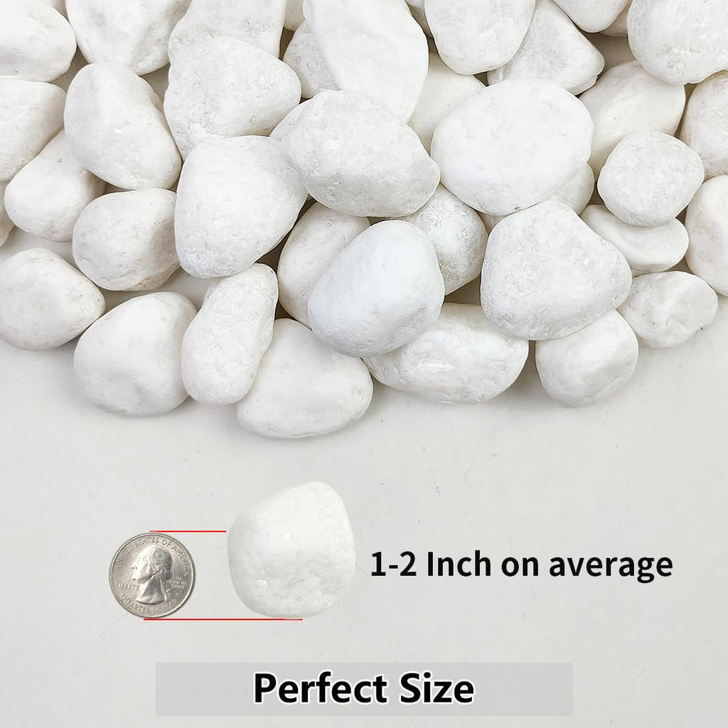 20lb White River Rocks for Landscaping, 1-2 Inch Natural Pebbles for Indoor Plants, Snow White Decorative Stones, Ideal for Fish Tank, Vases, Crafting, Home Decor and Garden Rocks