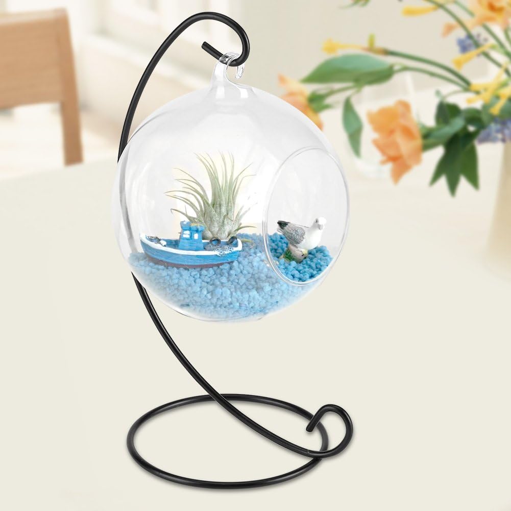 Large Clear Glass Terrarium Vase Hanging for Air Plants with Black Metal Stand Decorative Indoor Outdoor Easy to Hang Rustic Farmhouse Home Office Decor