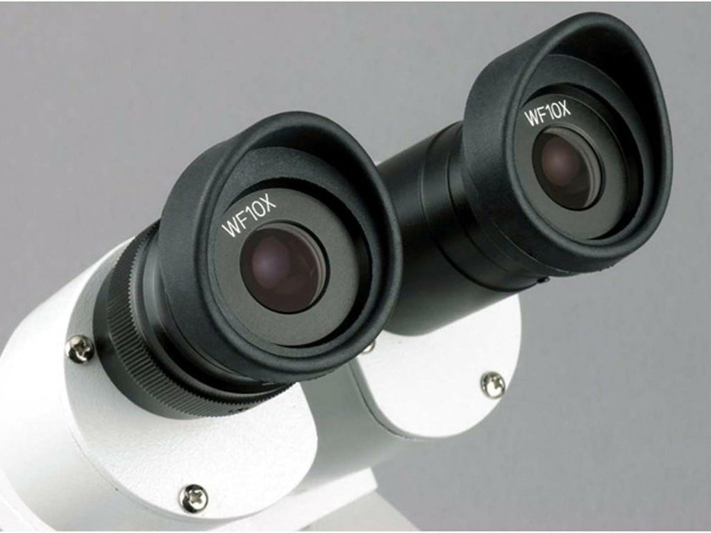 AmScope SE306R-P Forward-Mounted Binocular Stereo Microscope, WF10x Eyepieces, 20X and 40X Magnification, 2X and 4X Objectives, Upper and Lower Halogen Lighting, Reversible Black/White Stage Plate, Pillar Stand, 120V