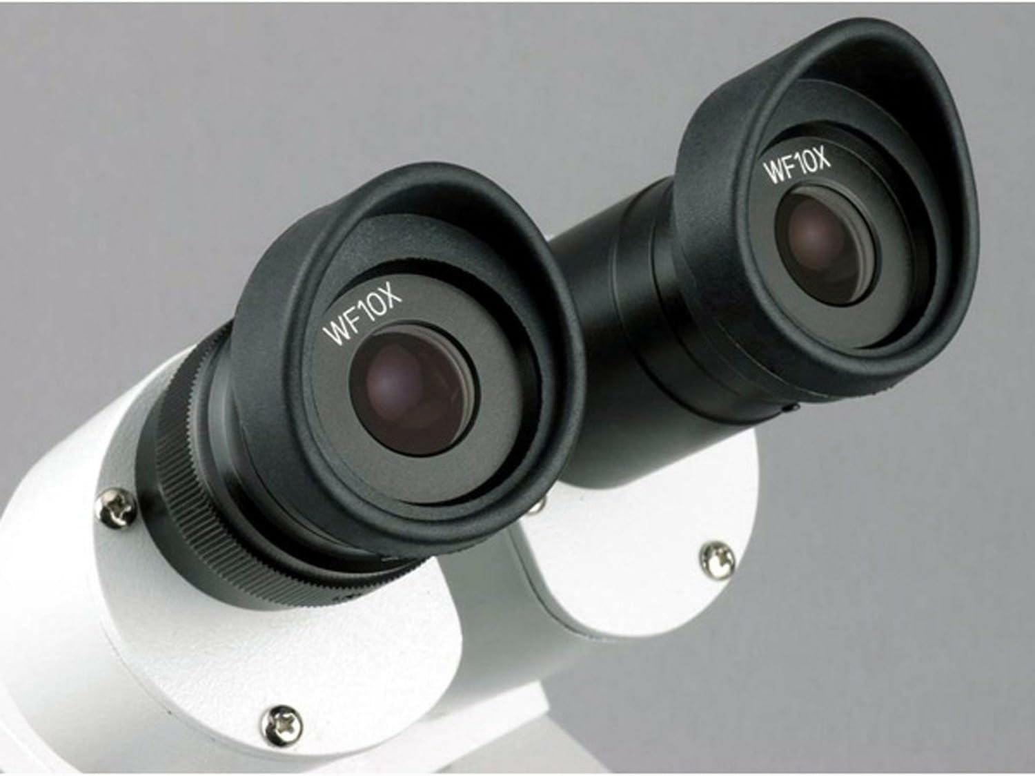 AmScope SE306R-P Forward-Mounted Binocular Stereo Microscope, WF10x Eyepieces, 20X and 40X Magnification, 2X and 4X Objectives, Upper and Lower Halogen Lighting, Reversible Black/White Stage Plate, Pillar Stand, 120V