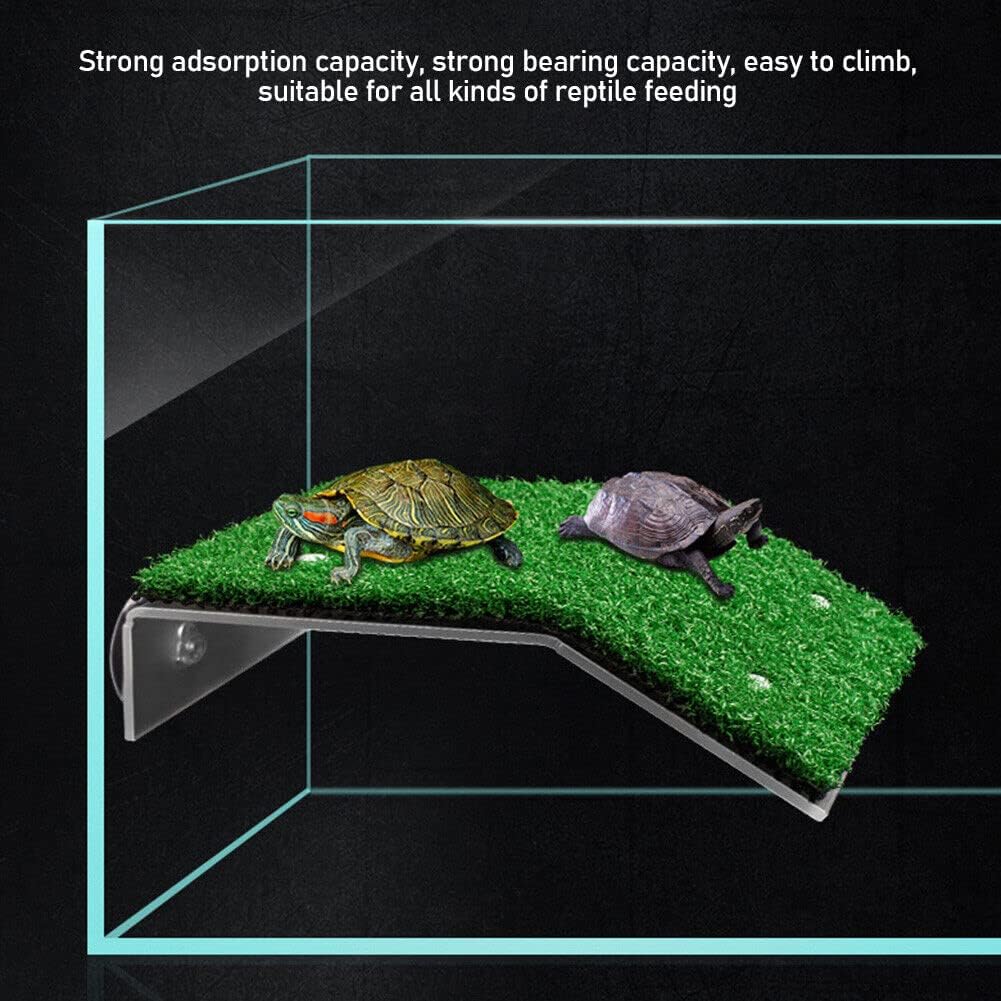 Turtle Basking Platform - Lawn Turtle Resting Platform - Tortoise Habitat Accessory