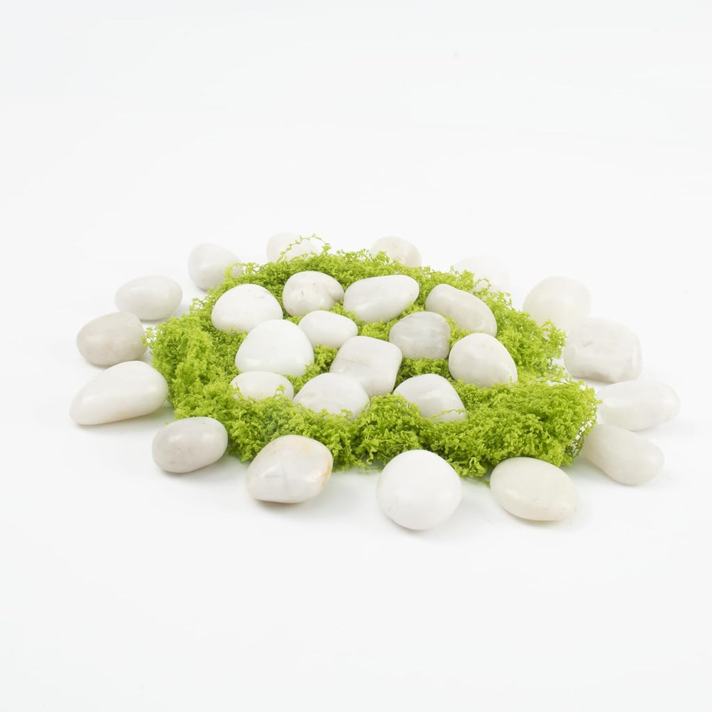 River Rocks - Natural Polished White Pebbles, 0.5-1 inch, 40 lbs - Perfect for Indoor Planting, Vase Filling, Aquarium Decoration, and Garden Landscaping (White, Weight: 40 LB)