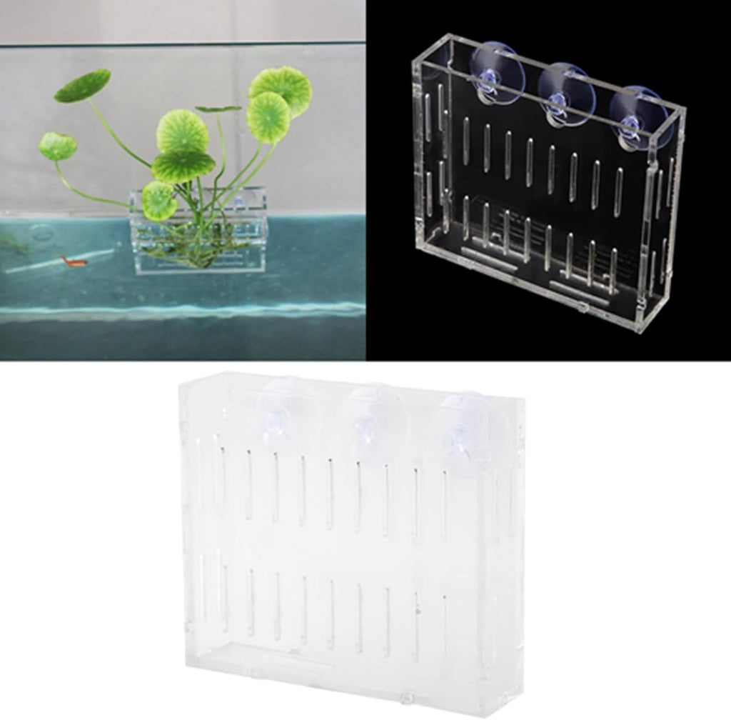 Aquarium Plant Holder, Fish Tank Plant Holder Cup, Acrylic Planter Grass Container with Suction Cups for Water Feature Decoration