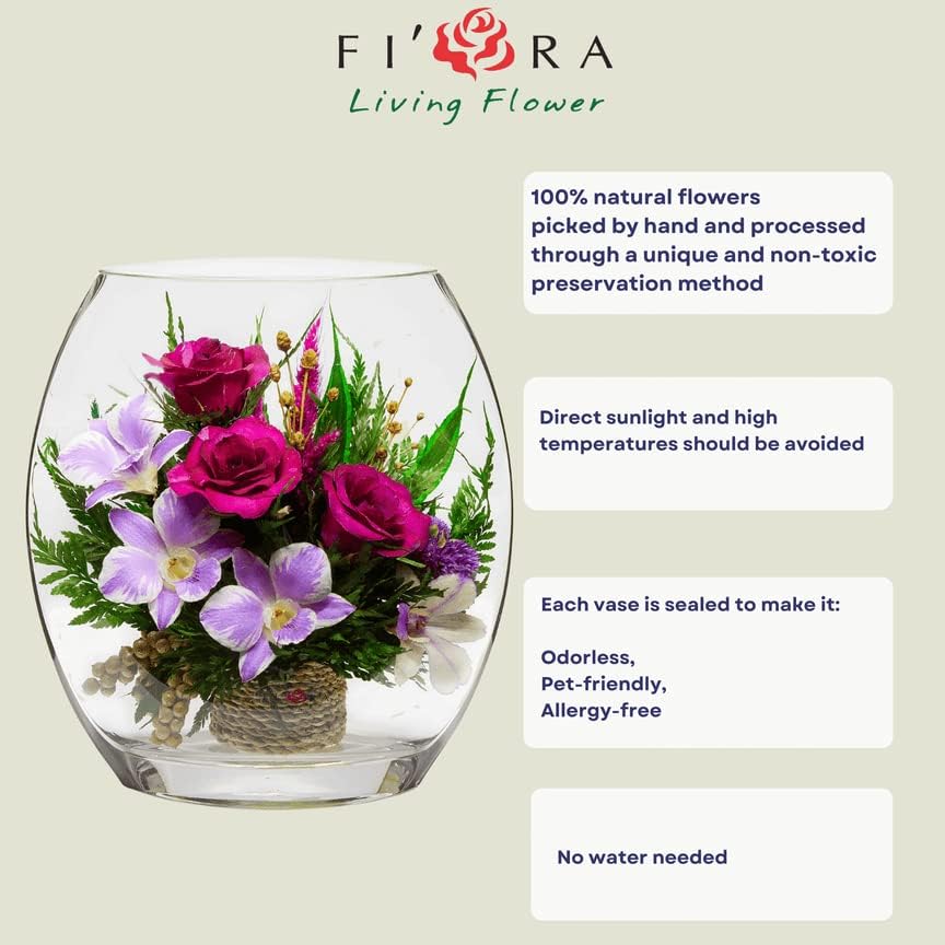 Luxury Orchid Arrangement | Preserved Orchids in Glass Vase | Long-Lasting Flowers for Anniversary, Wedding, or Corporate Gifts