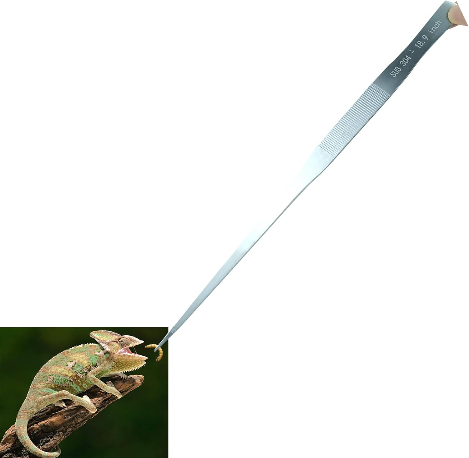 Extra Long Tweezers, Aquascape Tools, 18.9 inch Fecsam Aquarium Stainless Steel Large Feeding Tongs for Fish Tank, Terrarium，Aquascaping, Reptile Snake (Straight)