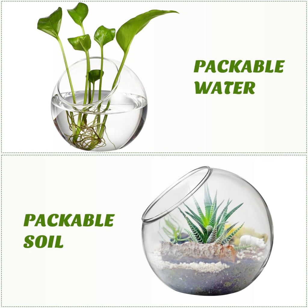 DECHOUS 3Pcs Glass Plants Terrarium Beveled Opening Round Terrarium Air Plant Bowls Planter for Succulents Miniature Gardens Ideal for Home Office Tabletop Centerpiece, 3 Sizes