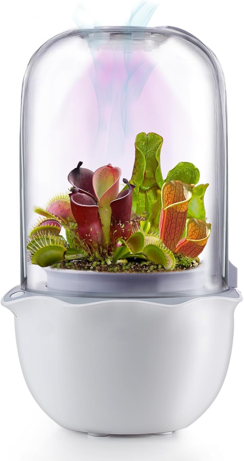Venus Fly Trap Terrarium Pot with Timer Grow Light & Fan, Smart Planter for Succulents Butterwort, Carnivorous Plants Pot, Christmas Birthday Gifts for Women Garden Lover (no Plant)