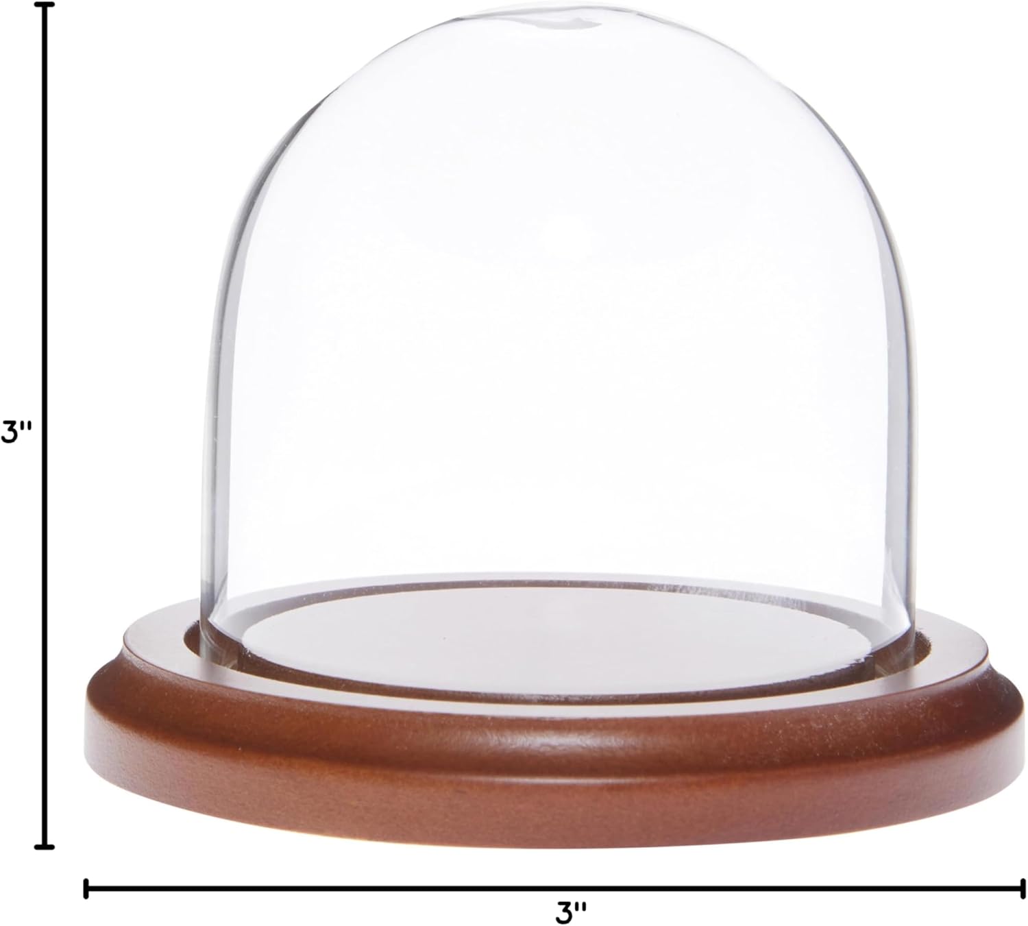 Plymor 3" x 3" Glass Display Dome Cloche (Walnut Base)