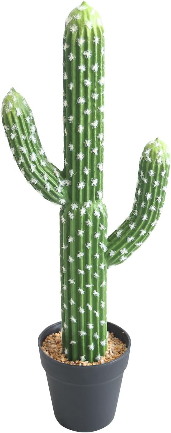 momoplant Artificial Cactus Succulent Plant, 24 Inch Tall Faux Fake Desert Cacti Plant with Black Planter for Home Garden Office Floor Decor