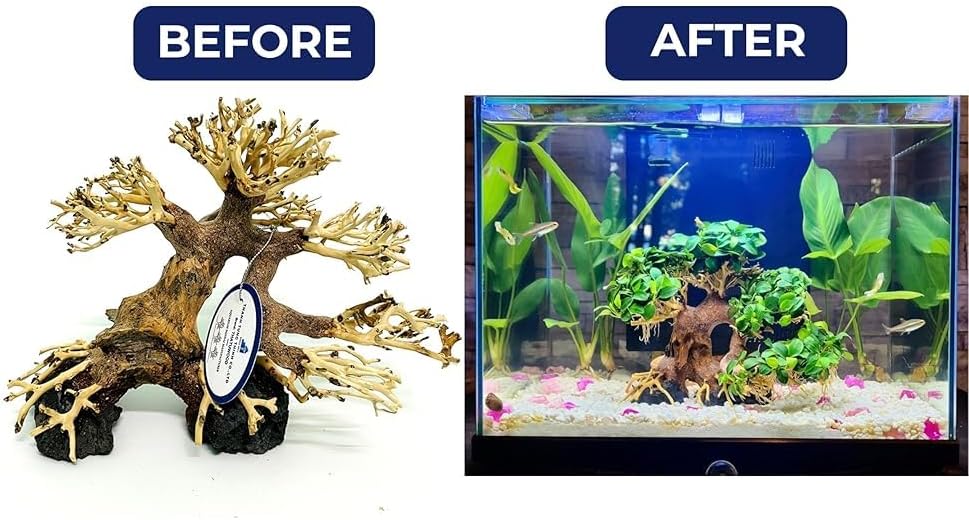 Bonsai Driftwood Aquarium Tree (8in H x 6in L), Handcrafted Fish Tank Decoration | Easy to Install Driftwood Bonsai for Fish Tank | Decor Aquascape Wood (Bonsai Tree On Rocks)