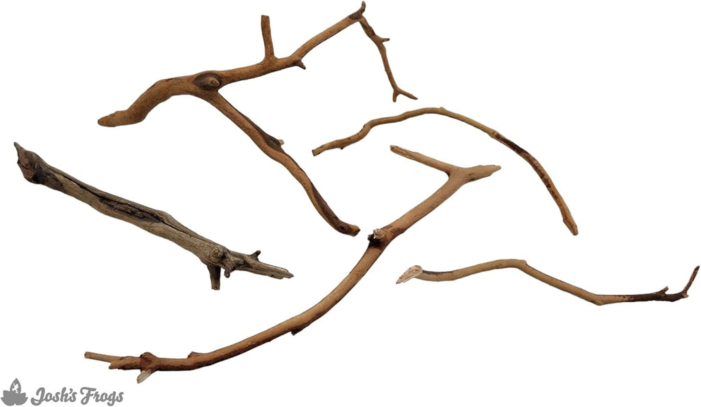 Josh's Frogs Manzanita Wood (Twig)