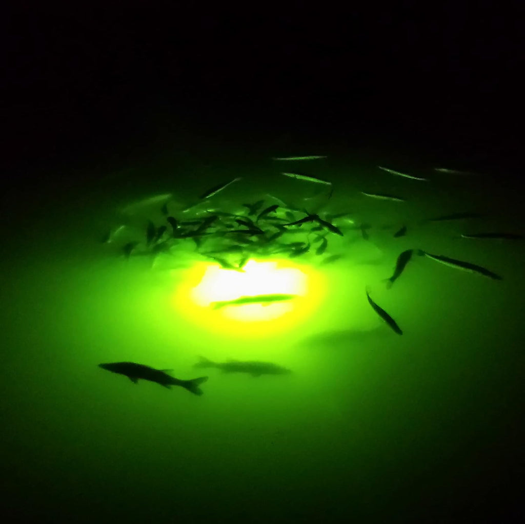 Underwater Fish Light 175W Quad Light for Docks with 50’ of Marine Grade Wire, Easy to Install, Dusk to Dawn Operation, Salt or Fresh Water, Guaranteed to Attract Fish