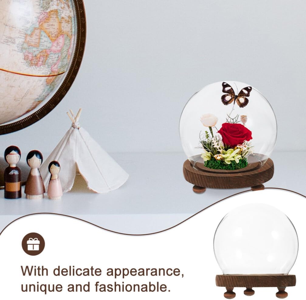 Clear Glass Cloche Dome Bell Jar with Wood Base 10cm DIY Snow Globe Kit Craft Keepsake Display Case Terrarium for Preserved Flower Plant Succulent