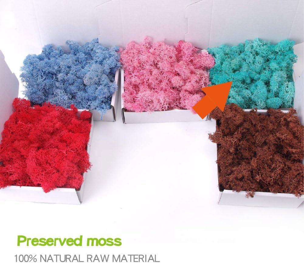 Preserved Moss-3.5 OZ Moss for Crafts Faux Moss Decor Natural Green Moss For Art Wall Florist Decor(WATER BLUE 3.5 OZ)