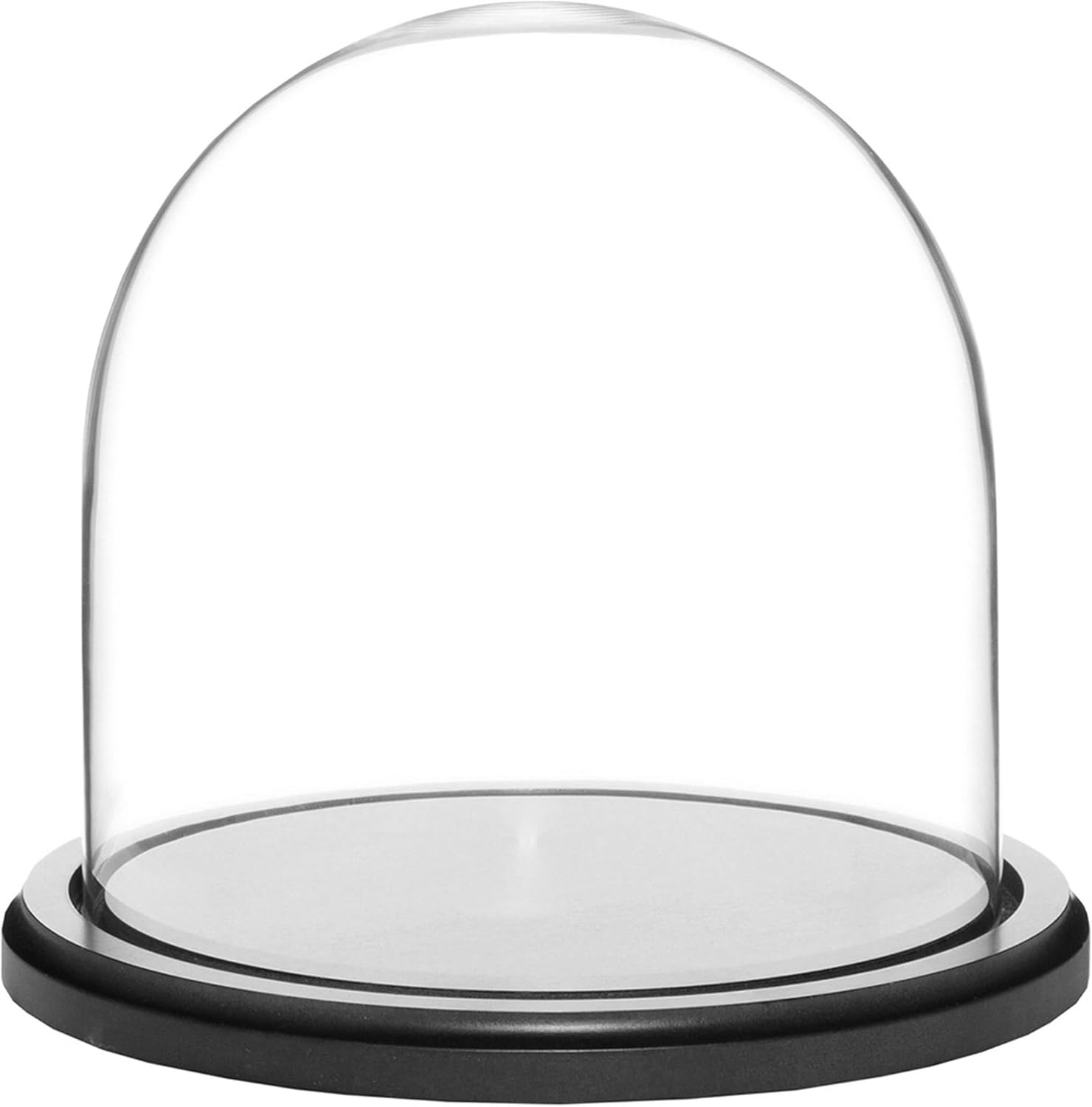 Plymor 8" x 8" Glass Display Dome Cloche (Black MDF Wood Base)