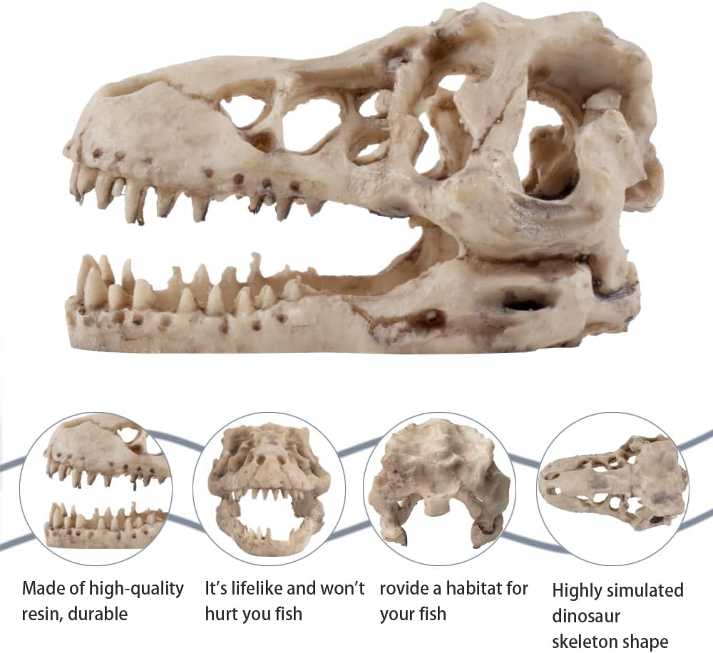 Dinosaur Skull Aquarium Décor - Fish Tank Decoration Hideaway for Fish,Natural Look, 6.3"x4"x4" - Fun Underwater Environment! (6.3")