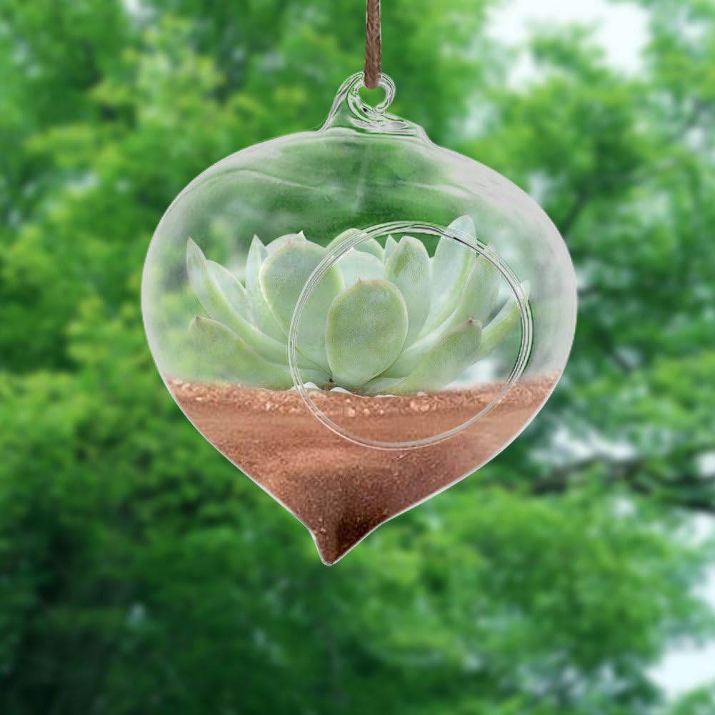 Wall Hanging Planter Terrarium Container, Teardrop Shaped Air Plant Holder, Succulents Hanging Glass Globes Oblate Flower Vase for Hydroponics Plants