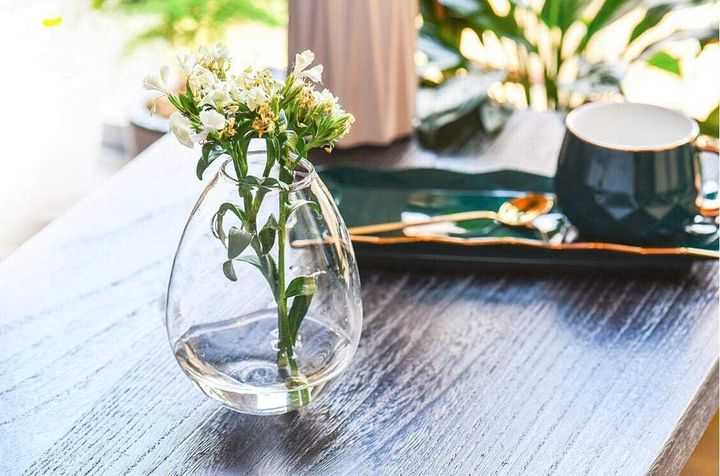 Kingbuy Wall Hanging Propagation Station Glass Plant Terrarium Container Egg Shape for Propagating Hydroponic Plants Home Office Garden Decor Wedding, 2 Pack
