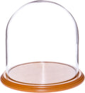 Plymor 8" x 8" Glass Display Dome Cloche (Oak Veneer Base)